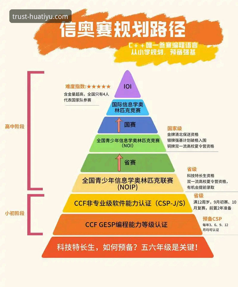 华体育网官方入口：体育赛事专业分析详解